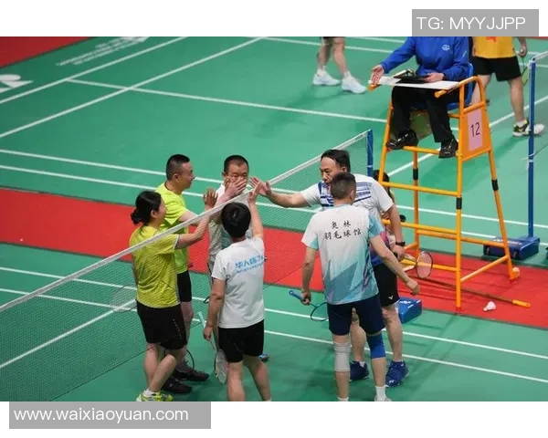 羽毛球全锦赛冠军归属及精彩回顾