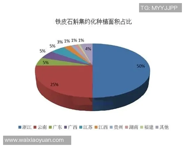 体育技术统计深度解读