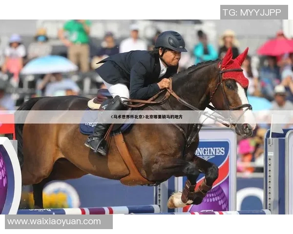 奥运会项目中裁判主观评分公正性舆情分析模型